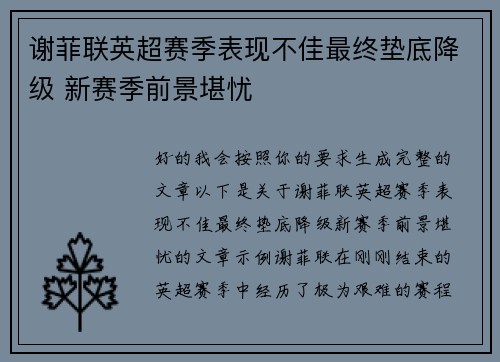 谢菲联英超赛季表现不佳最终垫底降级 新赛季前景堪忧